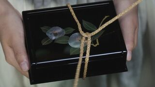 小姐.The.Handmaiden.2016.BD1080P.国韩双语.中字